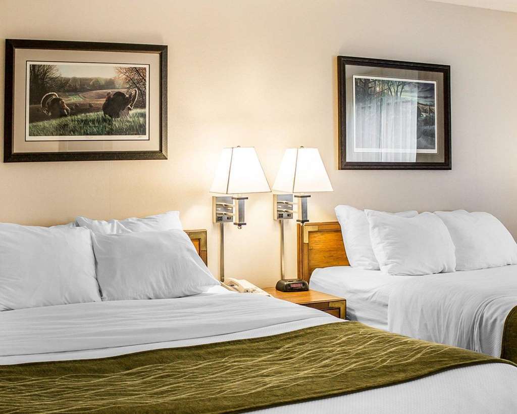 Quality Inn Petoskey-Harbor Springs Номер фото